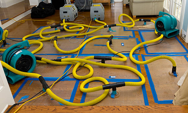 Professional Sewage Cleanup technician working in Valhermoso Springs, AL